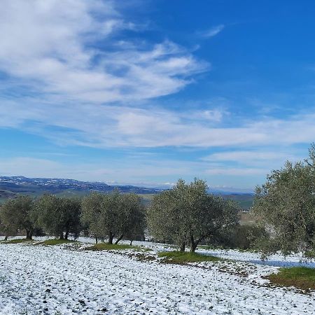 מלון San Quirico dʼOrcia Dimora In Francigena מראה חיצוני תמונה