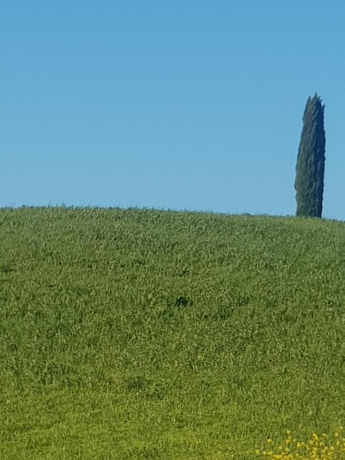 מלון San Quirico dʼOrcia Dimora In Francigena מראה חיצוני תמונה