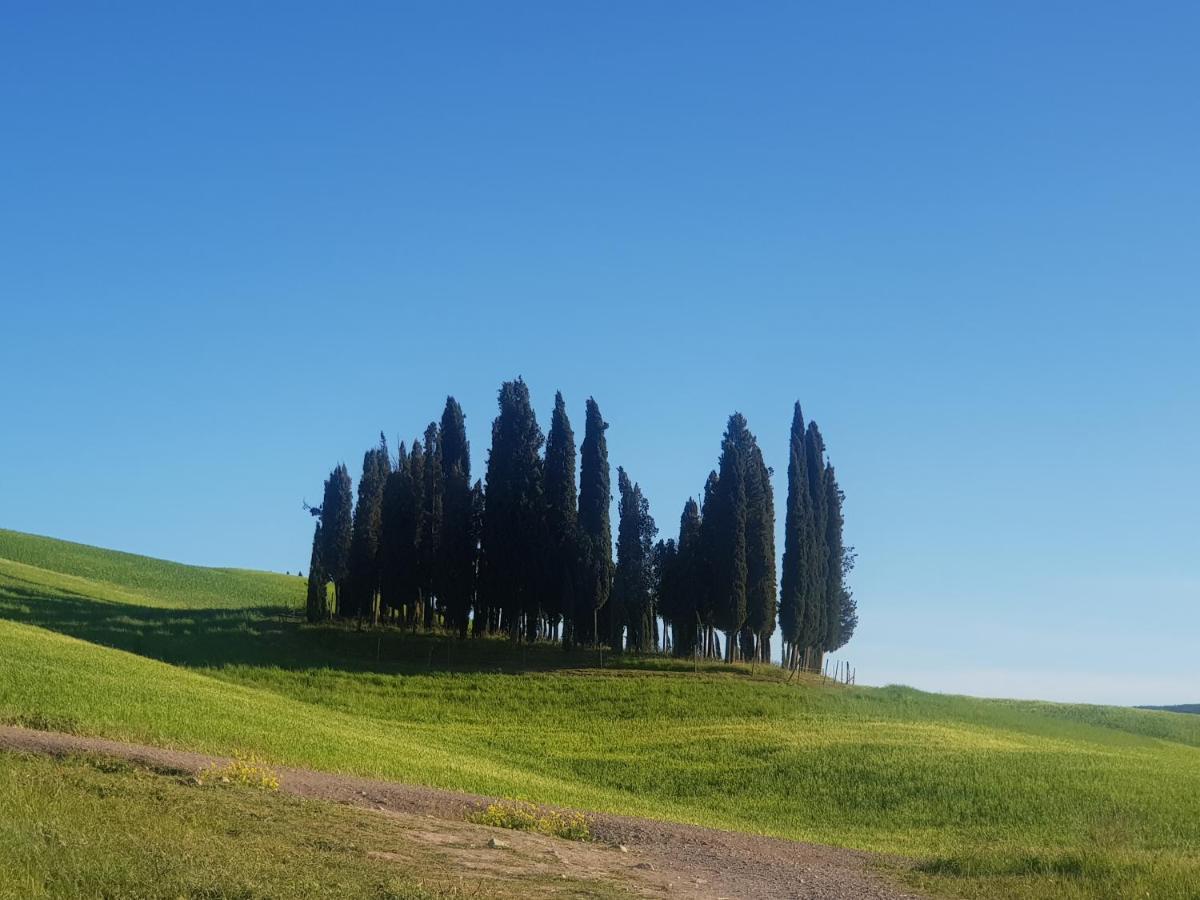 מלון San Quirico dʼOrcia Dimora In Francigena מראה חיצוני תמונה
