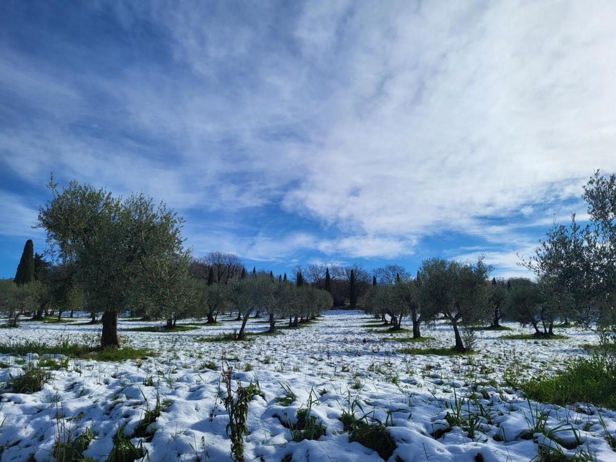 מלון San Quirico dʼOrcia Dimora In Francigena מראה חיצוני תמונה